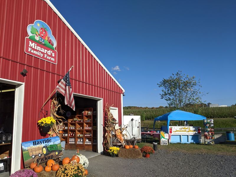 Cider Donuts Worth The Wait