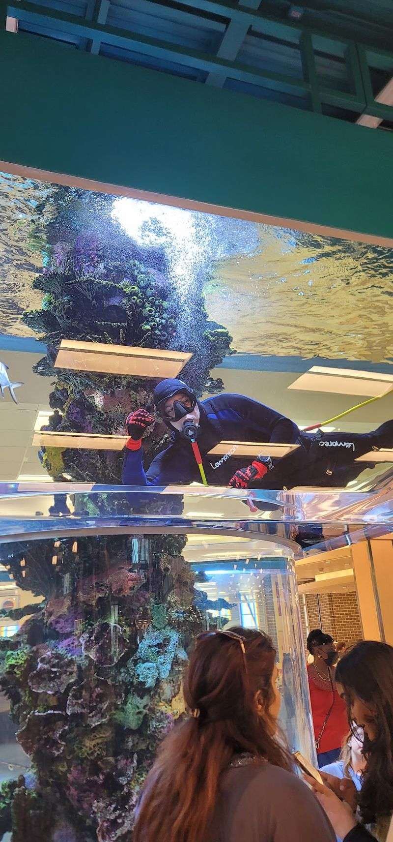 An Aquarium Worth Pressing Your Nose Against
