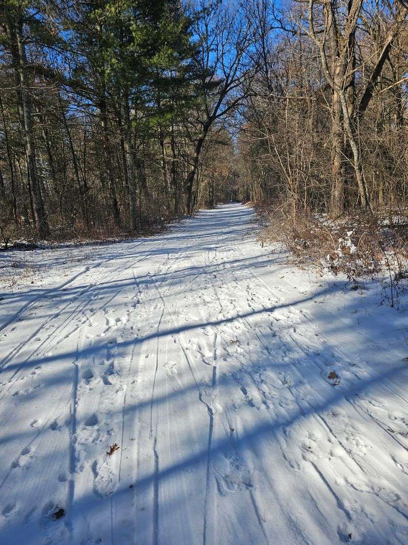 Winter Turns The Place Into A Ski And Snowshoe Playground