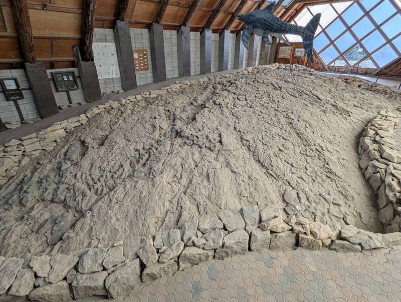 Forty Skeletons And A Dig That Started In 1954