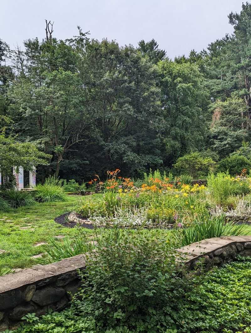 How Nature Took Back The Hill