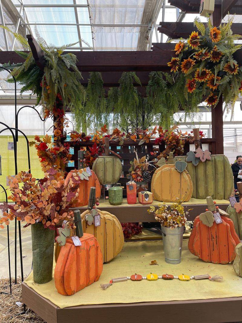 Gourds By The Thousand In The Pumpkin Barn