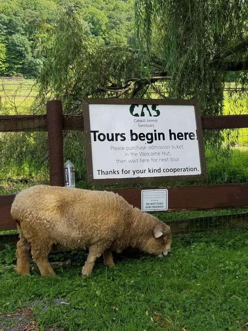 Smart Planning For A Smooth Visit
