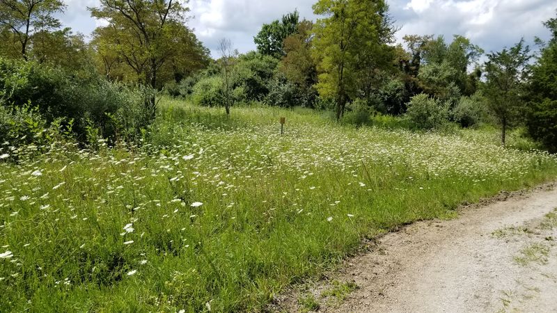 Half A Mile Of Easy Uphill, Plus A Bench