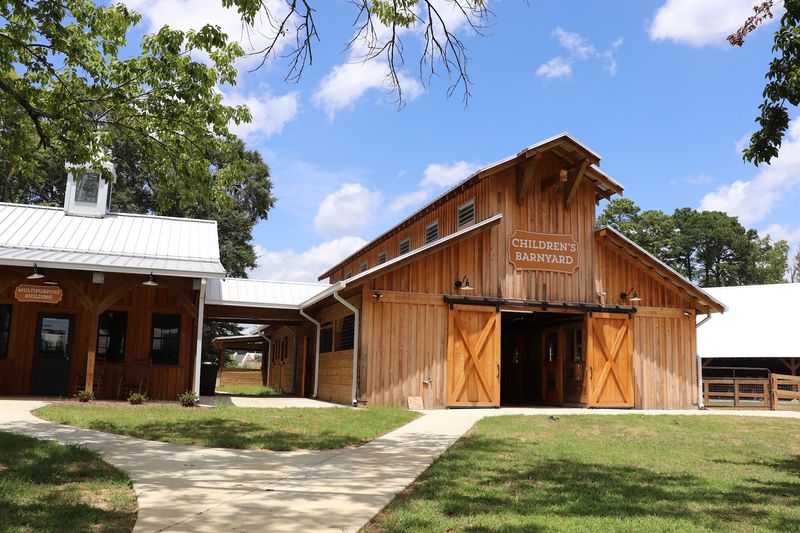 Goats, Mules, and the Children's Barnyard