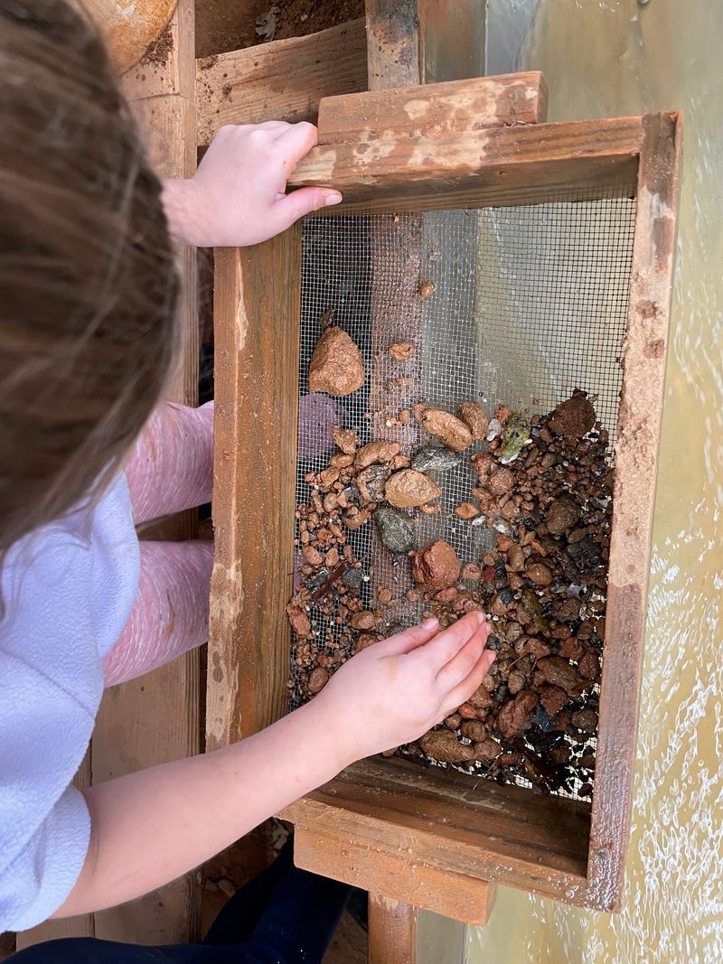 Bringing Kids Without Losing Your Patience