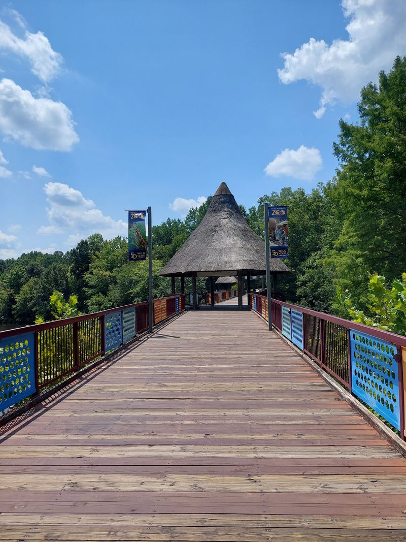 A 500-Acre Park That Rewrote The Rules