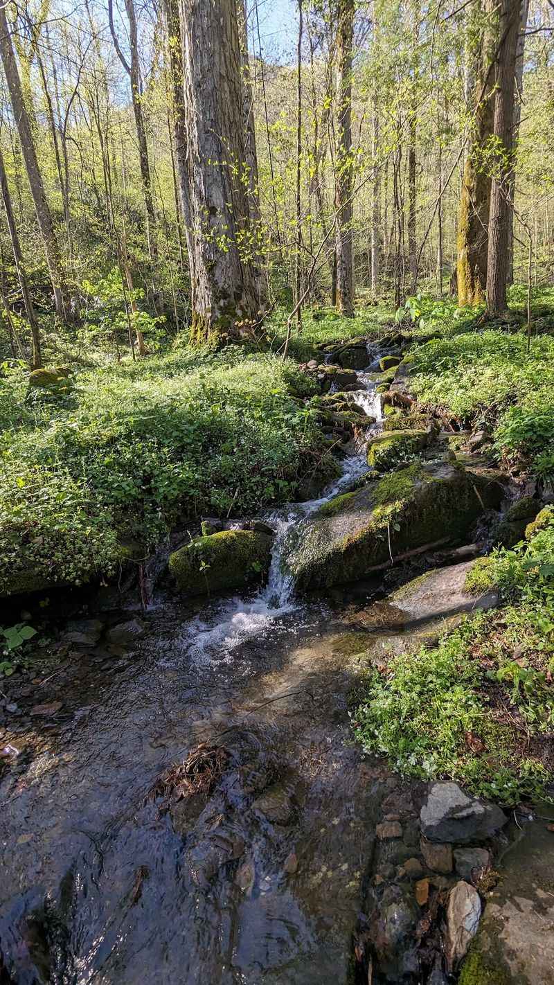 Stream Crossings, Slick Rocks And Wet-Weather Reality