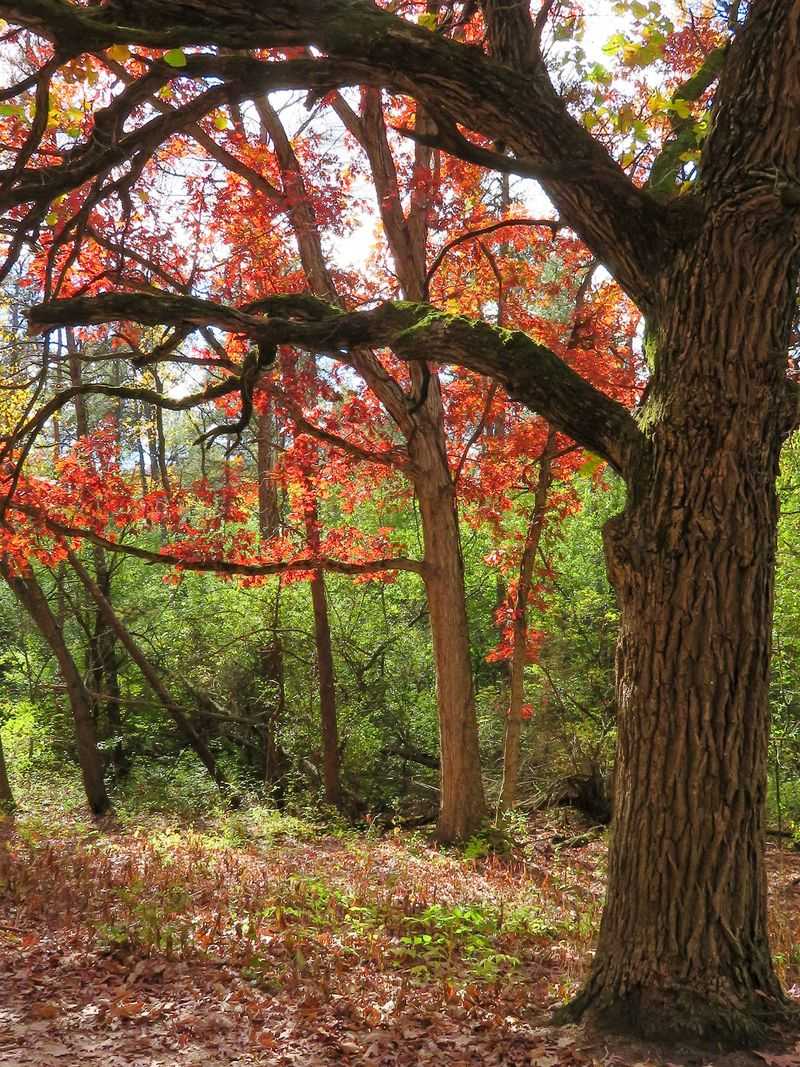 Autumn Paints Every Single Mile
