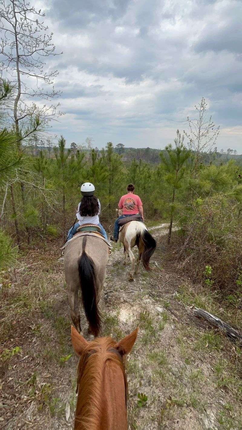 Matched To A Horse That Fits Your Personality