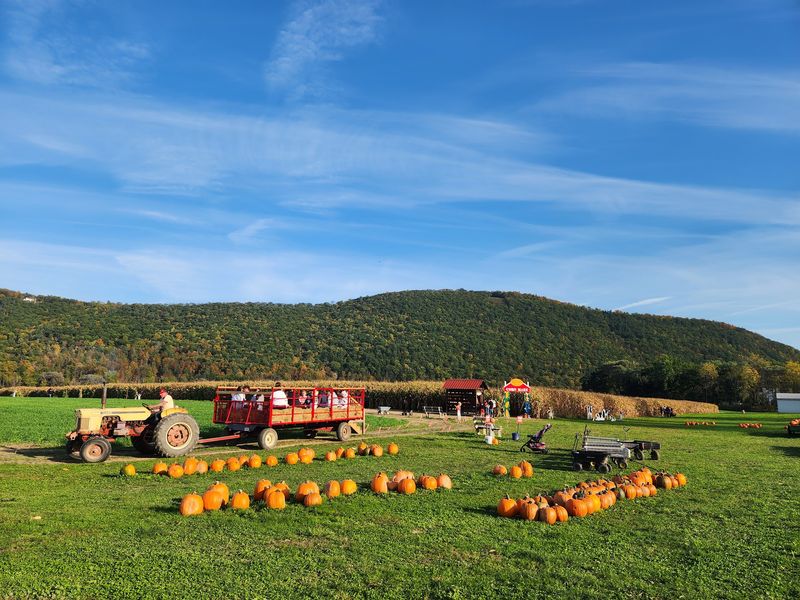 Six Hundred Acres Of Real Farm Country