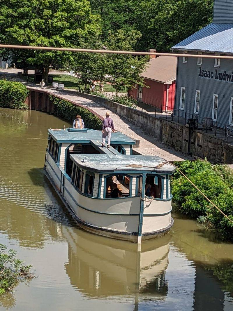 Mules, A Towline, And The Volunteer