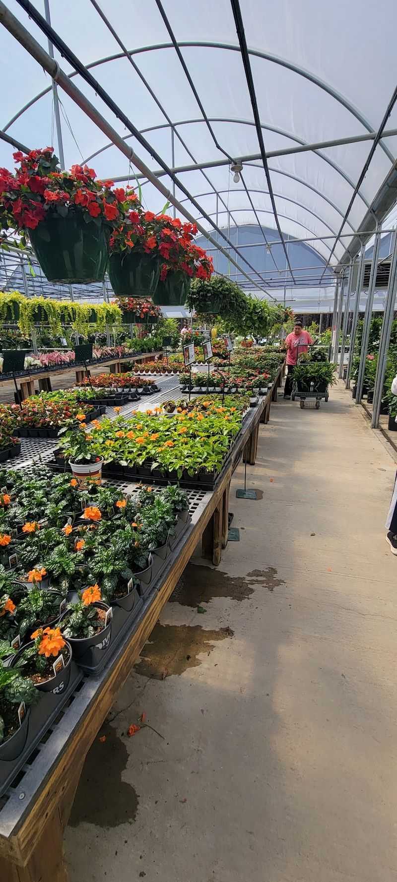 A Garden Center With Its Own Backstage