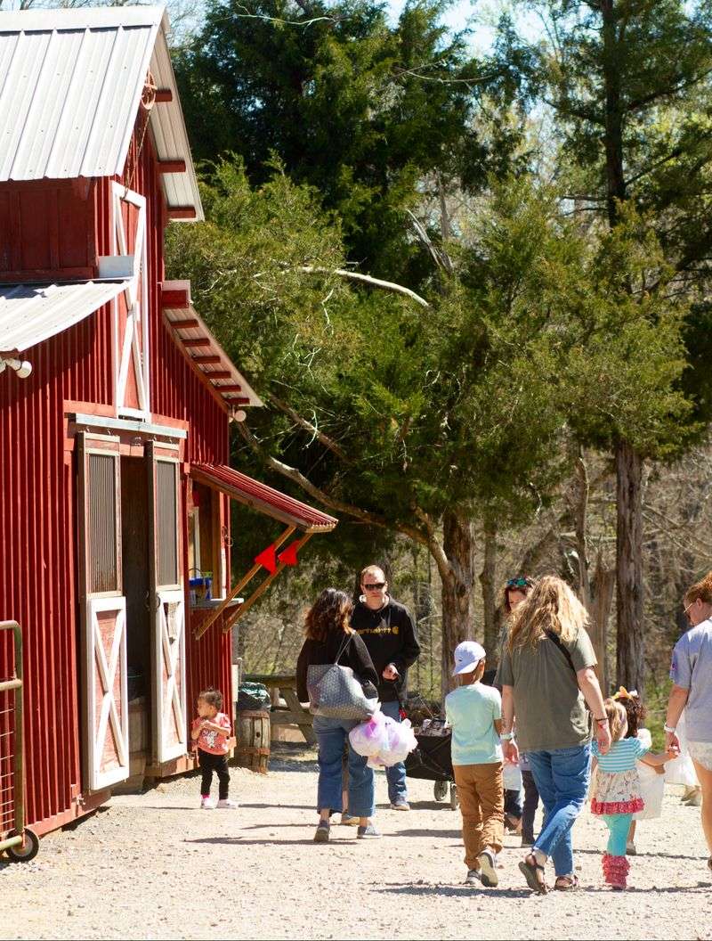 A Farm Where The Fruit Fights Back A Little