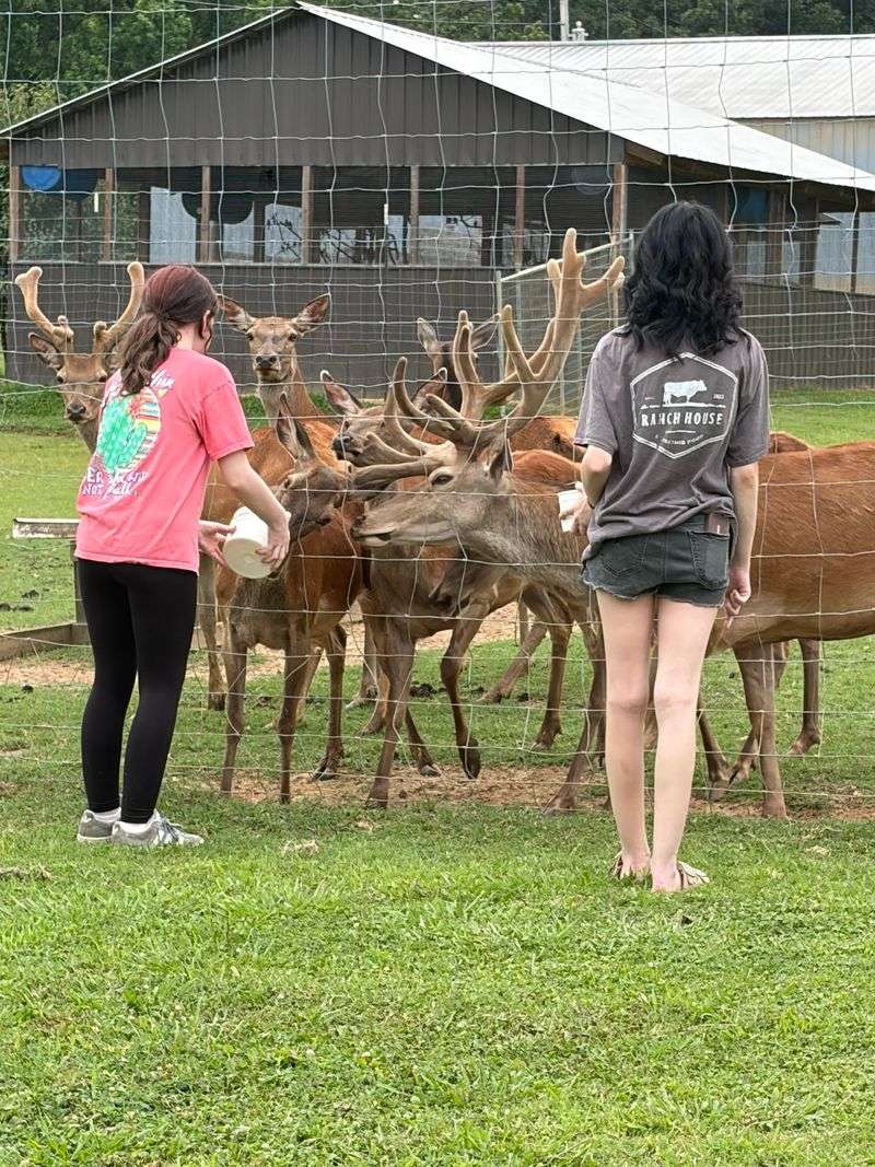 Close Encounters Of The Wild Kind