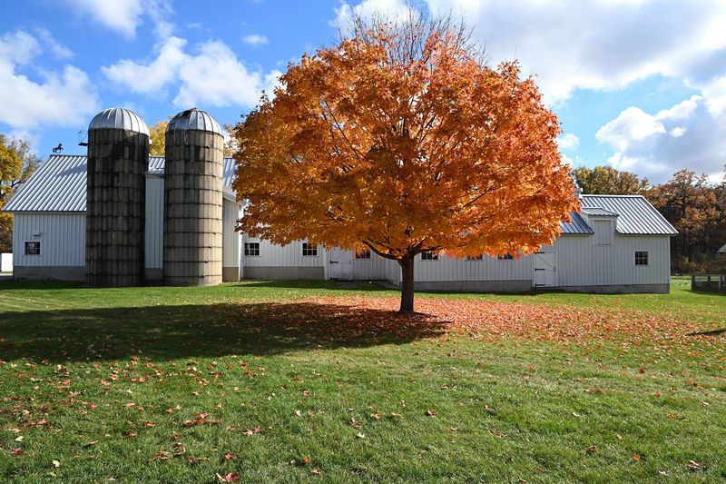 Edward L. Ryerson Conservation Area