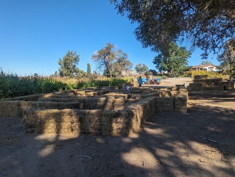 Hay Rides And More Fall Farm Fun