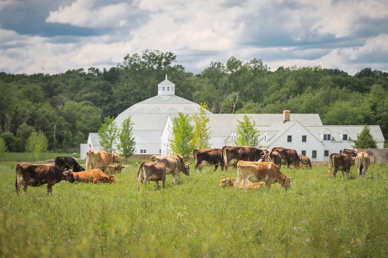 Churchtown Dairy - Hudson