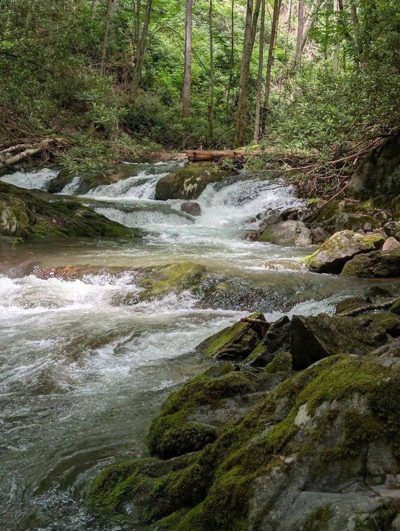 Lamar Alexander Rocky Fork State Park And Its Waterfalls