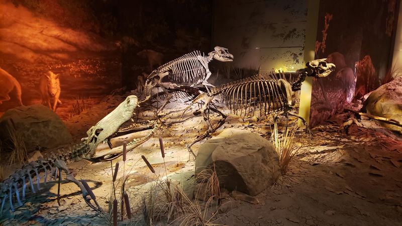 Alligators Prove Tennessee Used To Be Steamy