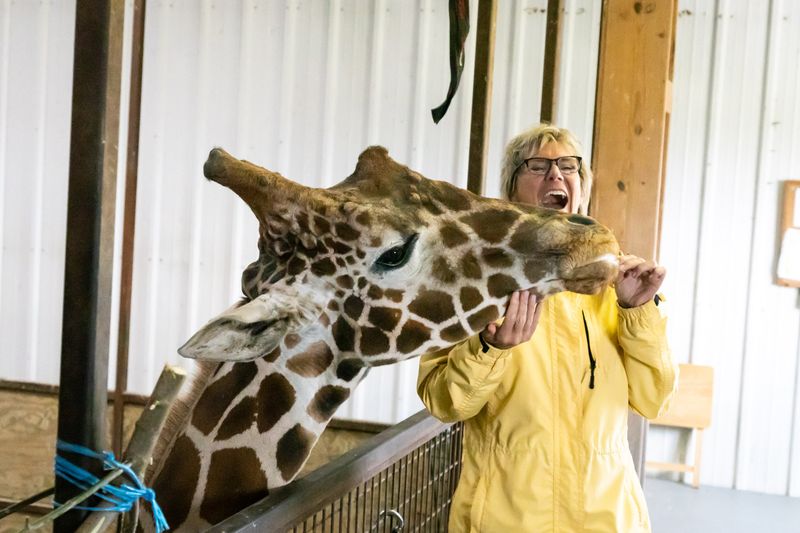 Wildside Tour: Off the Road, Closer to the Herd