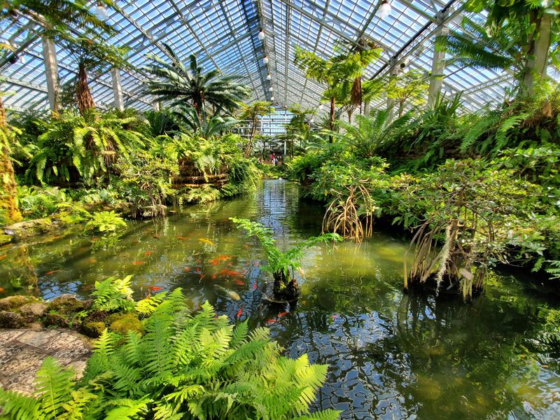 Fern Room Mist, Stepping Stones, And A Hidden-Figure Game
