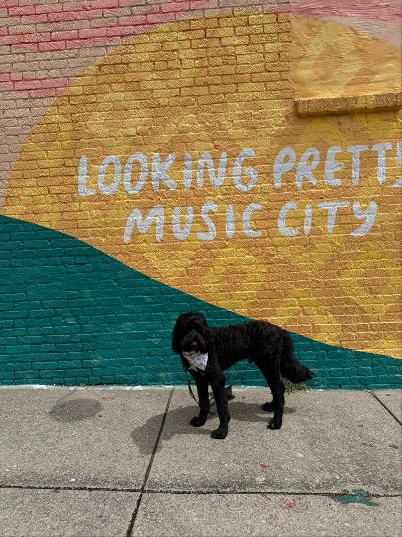 Bring The Dog, Seriously
