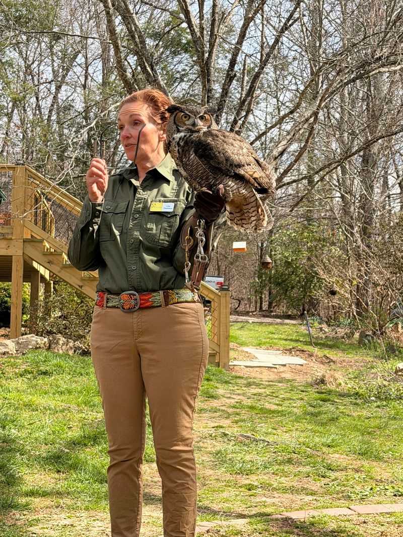 Meet the Ambassador Birds