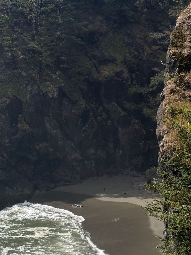 A Cove That Plays Hard To Get