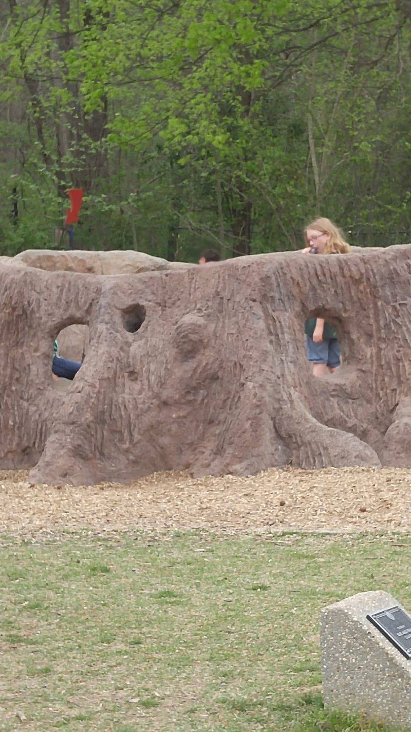 Playgrounds, Picnic Tables, and a Turtle Pond for the Kids