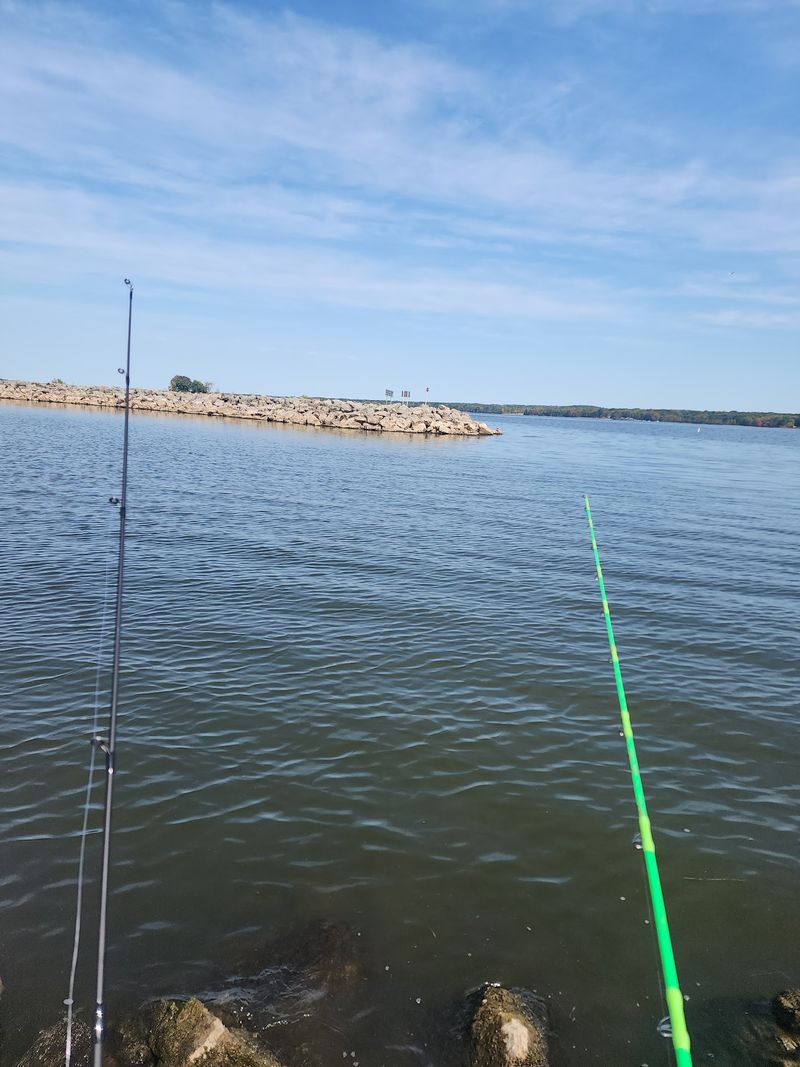 Walleye Dreams And Crappie Schools