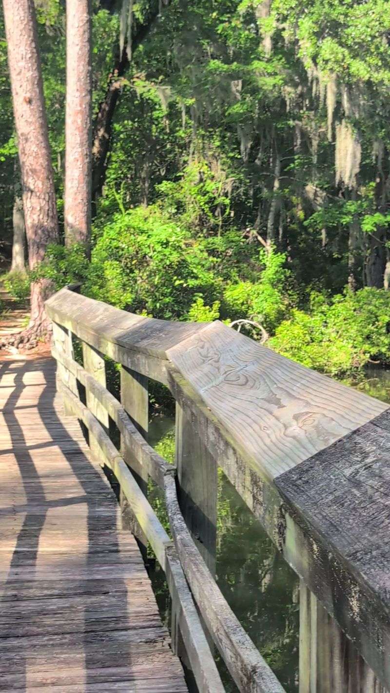 Simple Habits That Keep Visits Bite-Free