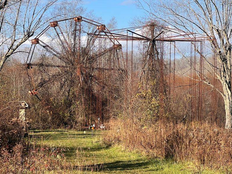 Rust, Vines, And A Ferris Wheel That Waits