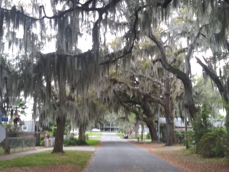 Vernon Square Still Holds The Heart Of Town