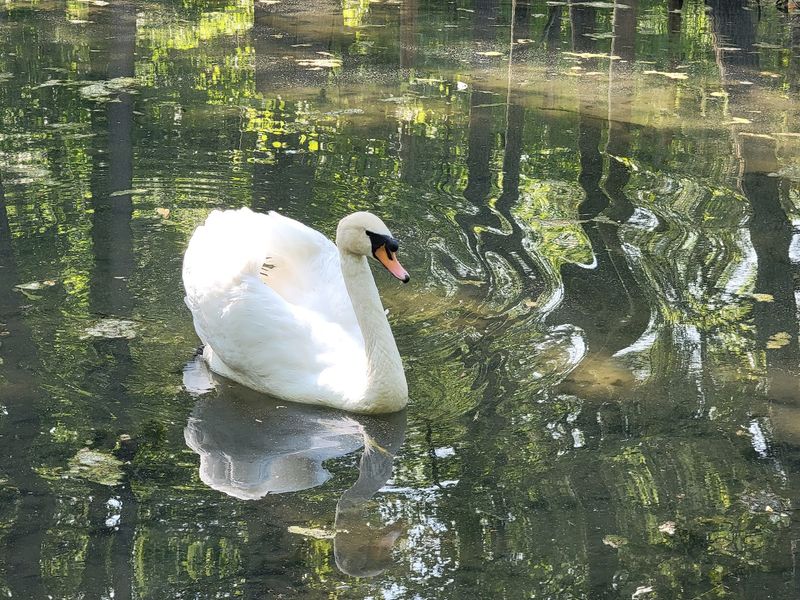 Tips For Planning A Day At The Sanctuary