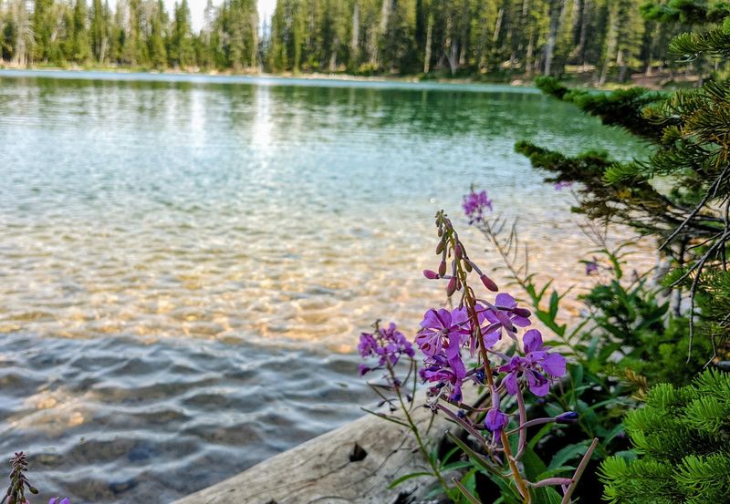 Smart Timing, Packing, And Trail Manners
