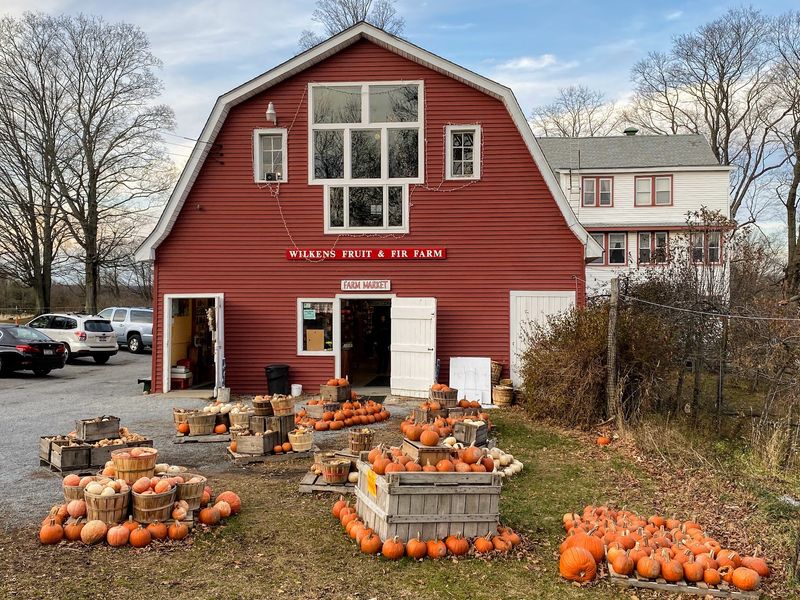 Wilkens Fruit & Fir Farm Bakery - Yorktown Heights