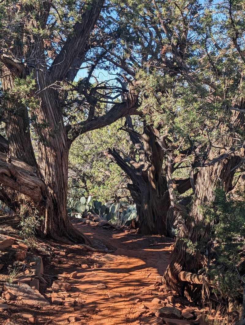 The Quiet Canyon Hike With Big Red Walls