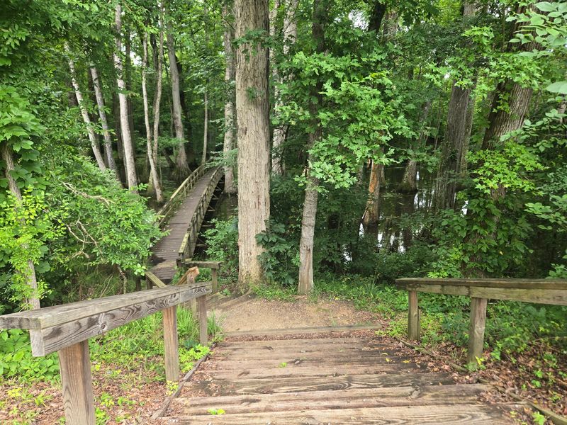 Thousands Of Years Of History Along The Trace