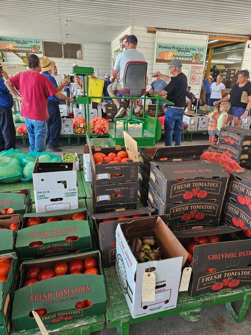 How The Morning Builds Toward Auction Time