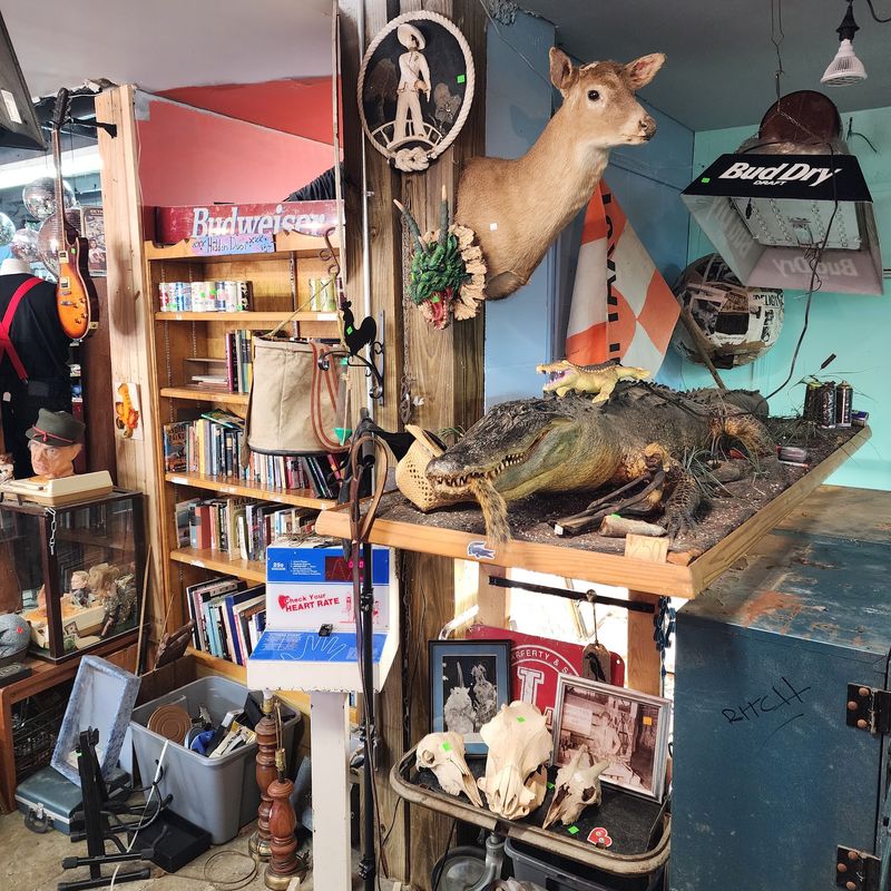 A Shop That Wears Its Weirdness Proudly