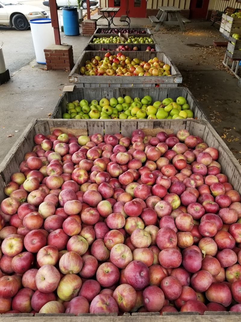 Apple Varieties You Cannot Grab At The Grocery Store