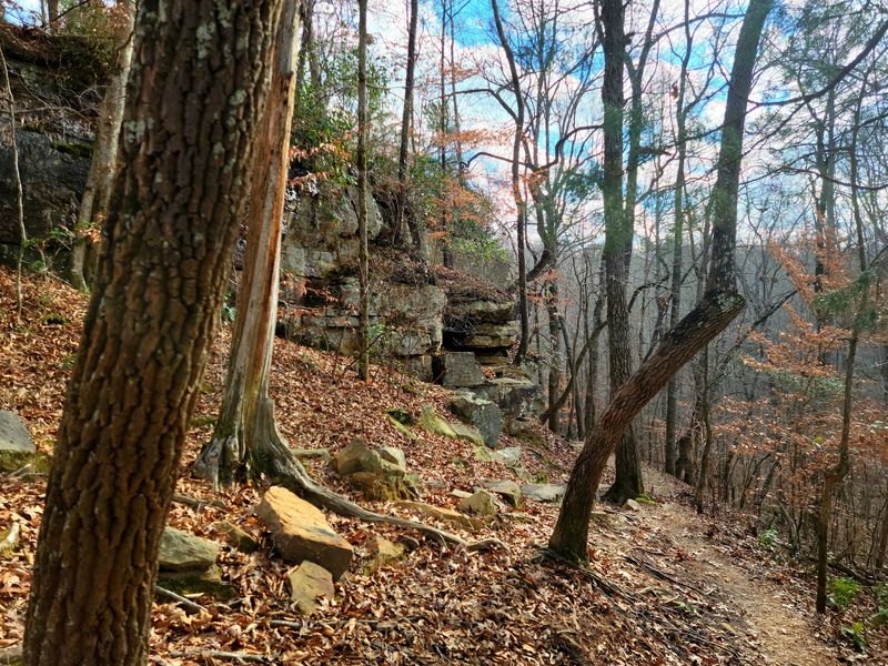 Seven Trails, Zero Boring Miles