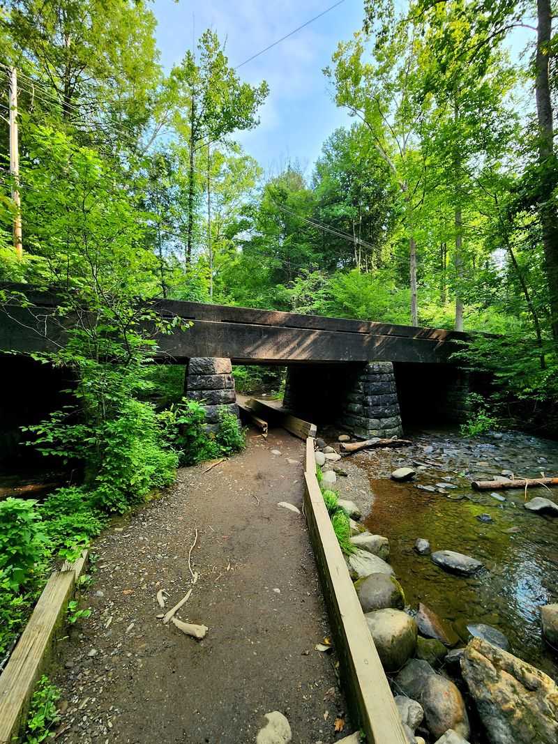 Strollers, Walkers and Wheelchairs on the Path