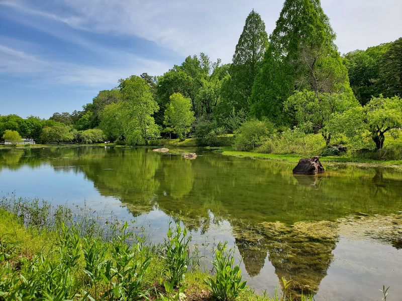 Native Plant Nursery And The Wildflower Gardens