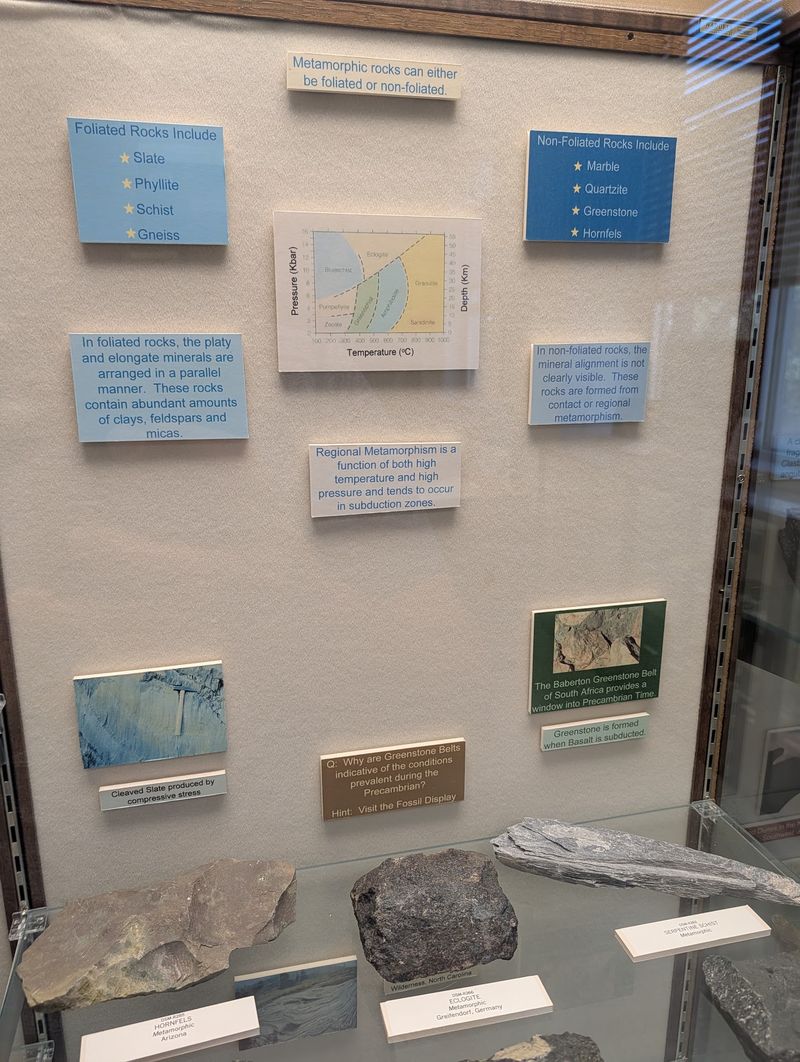 Mississippi's Own Buried Treasures