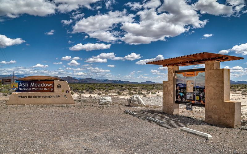 Dirt Roads, Mud, And What Your Car Can Handle