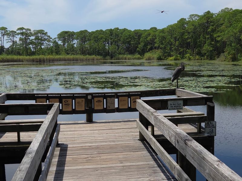 A 164-Acre Bird Sanctuary Turns Migration Season Into A Natural Spectacle