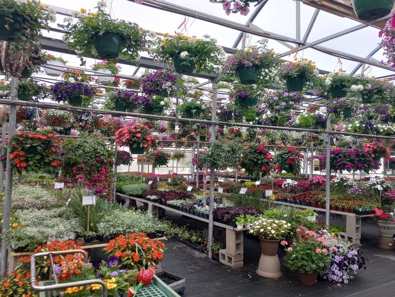 Greenhouses You Can Practically See From The Parking Lot
