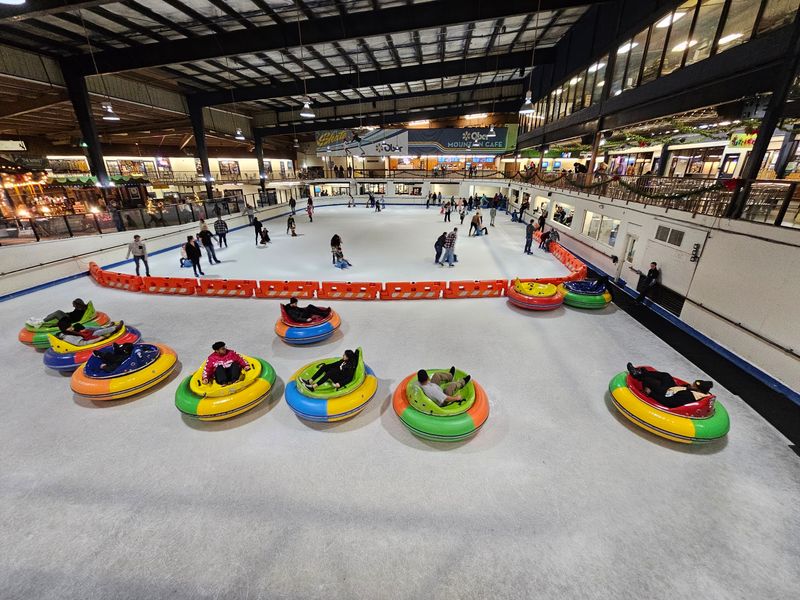 Ice Bumper Cars and Other Indoor Thrills